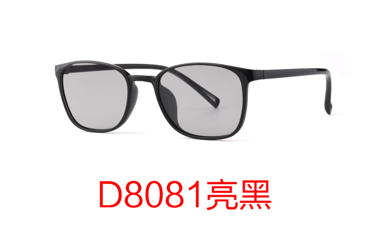 D8081