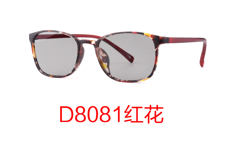 D8081컨